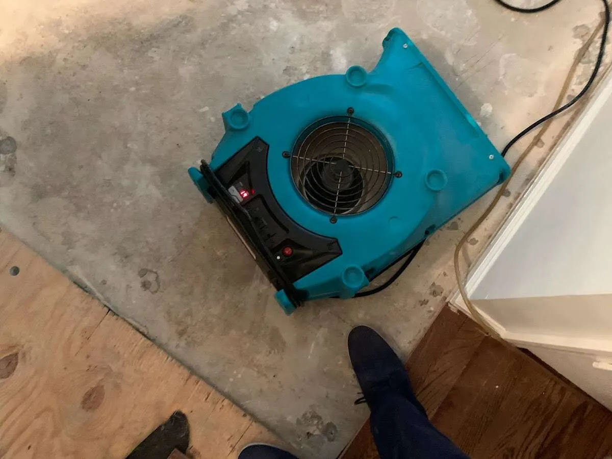 Air mover drying subfloor during Commercial Water Damage Restoration in South Lyon